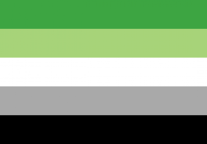 flaga aromantyczność